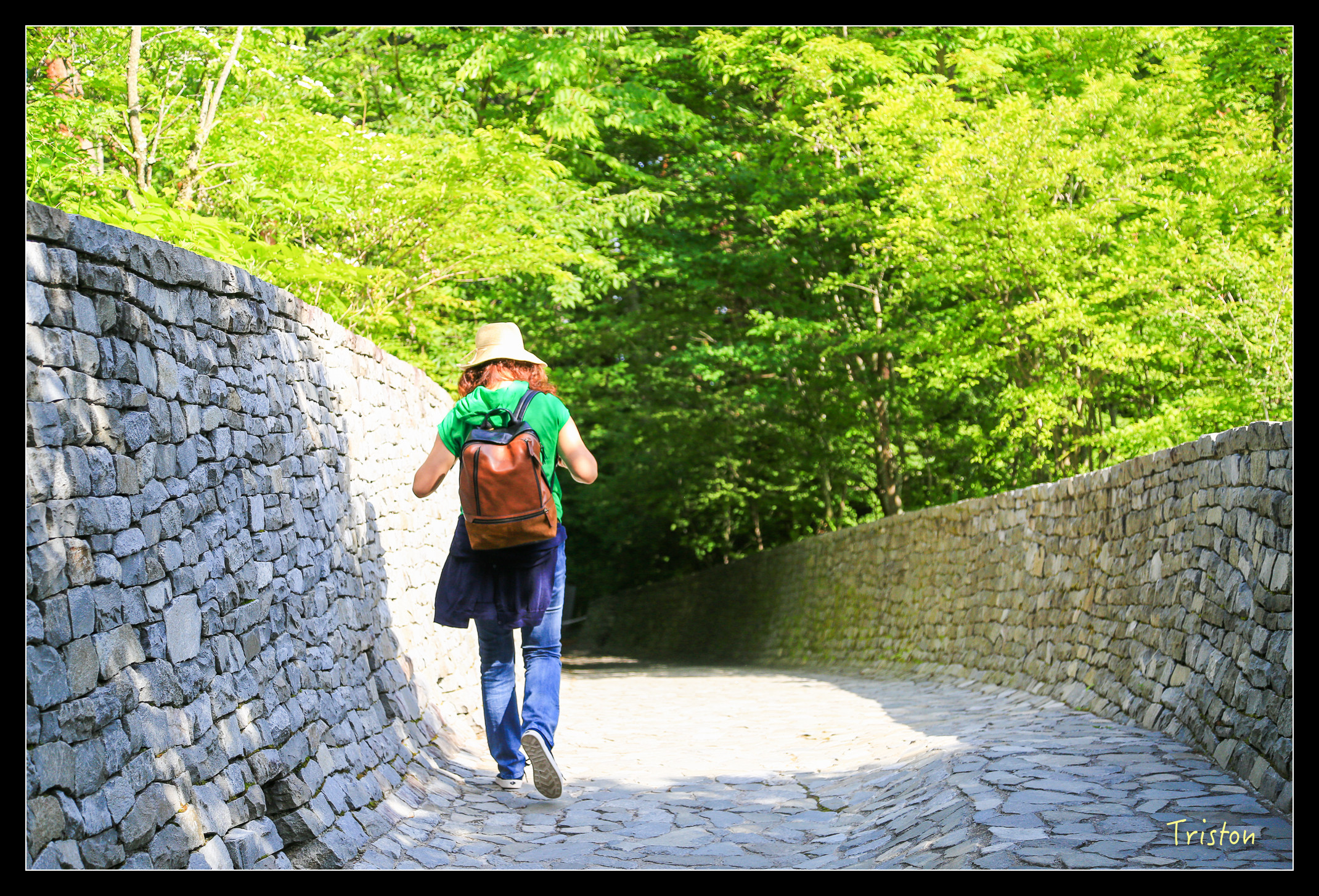 JH1A9168.jpg - 20150628 東京輕井澤日光