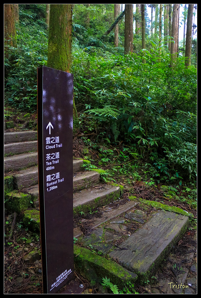 IMG_8370.jpg - 20150926 大凍山切霹靂山 抵龍雲山莊