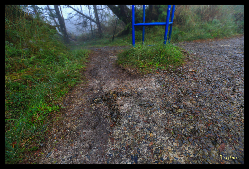 JH1A0102.jpg - 20151024~25 幾米公園、翠峰湖、翠峰山屋、望洋山步道、山毛櫸步道