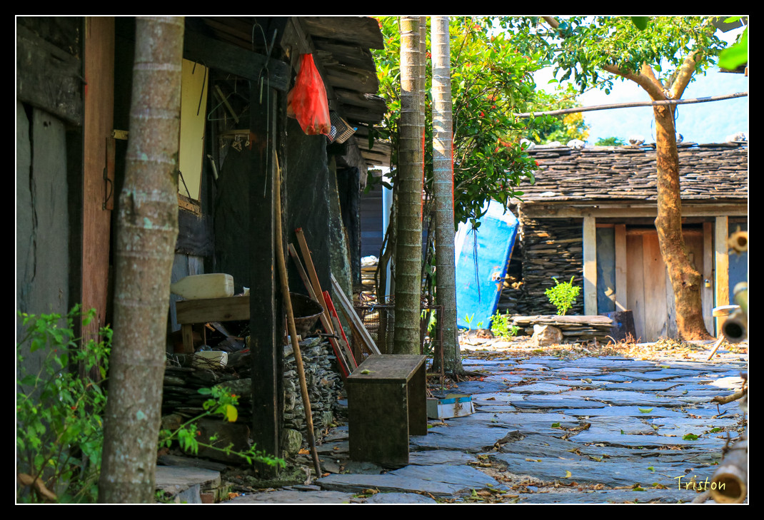 IMG_9562.jpg - 20151202 老七佳部落