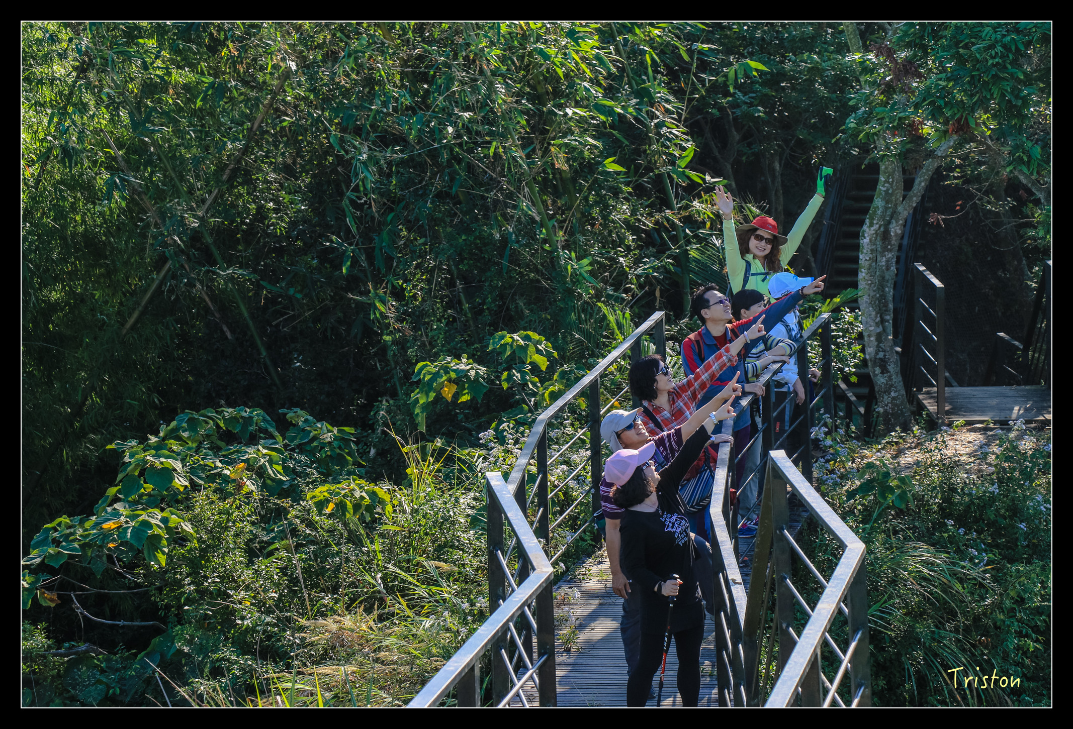 IMG_0297.jpg - 20151214 林內龍過脈步道