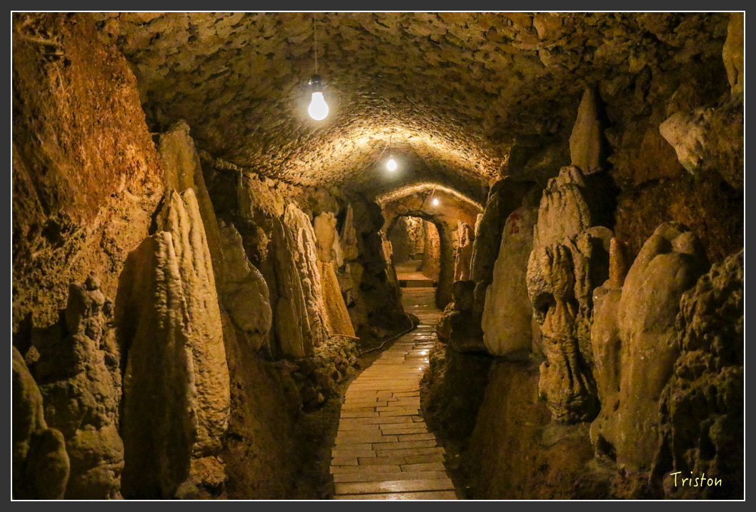 IMG_3223.jpg - 20160220 小崗山健行步道