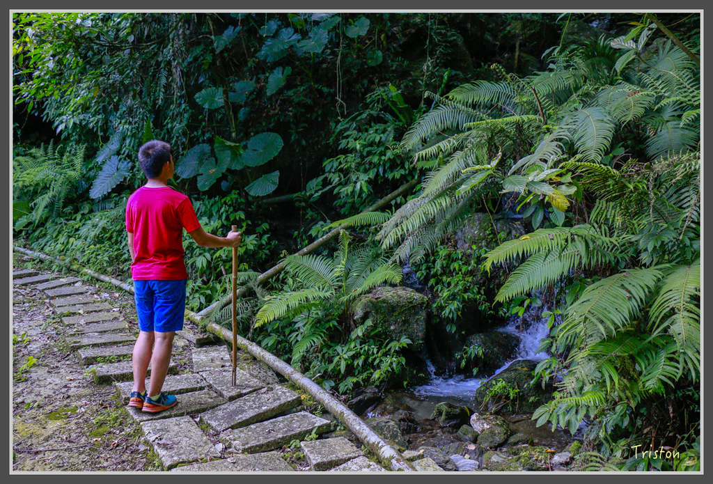 IMG-396.jpg - 20160821 中橫花東之旅