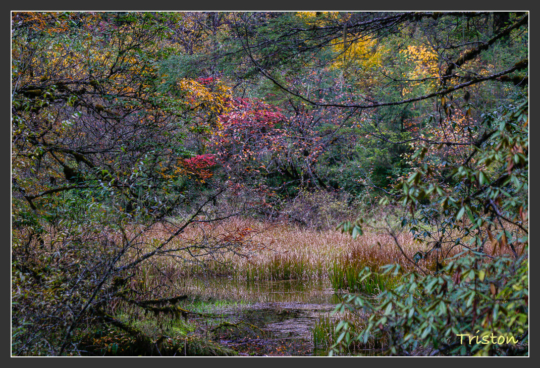 _MG_2745.jpg - 20161013 稻城亞丁