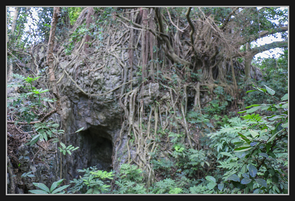 IMG_0004.jpg - 20170205 柴山盤榕雅座路線