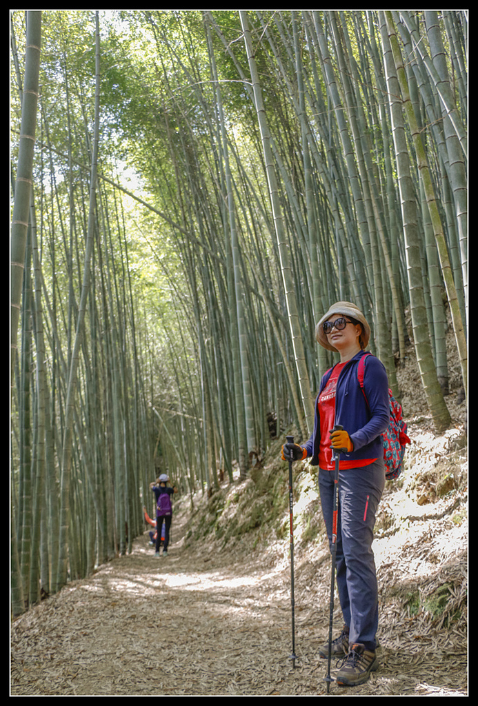 _MG_0045.jpg - 20170408 瑞太古道