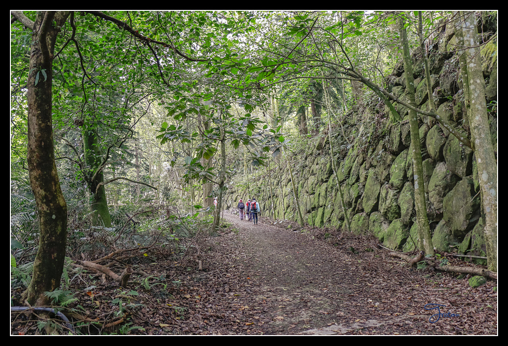 _MG_0005.jpg - 20170429 關仔嶺雞籠山
