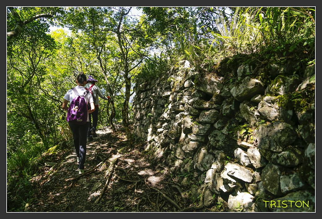 _H1A6354.jpg - 20170901 戀戀台九線