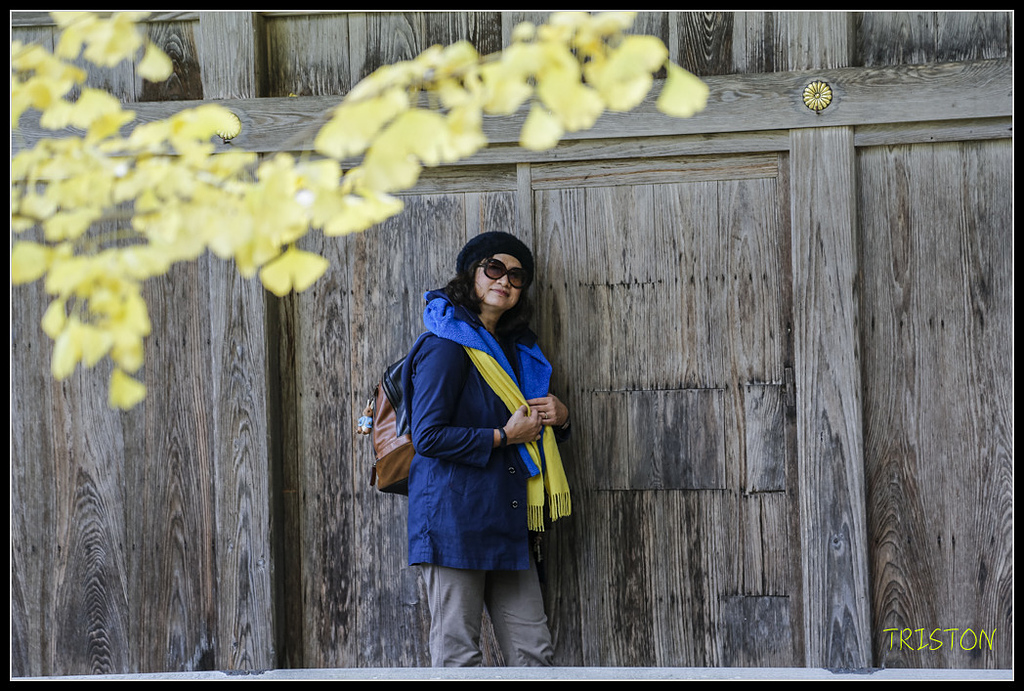 _H1A0738.jpg - 20171103 日本只見線、會津若松五色沼、昭和記念公園賞紅葉