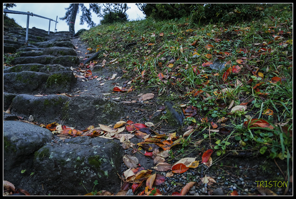 _H1A0987.jpg - 20171103 日本只見線、會津若松五色沼、昭和記念公園賞紅葉