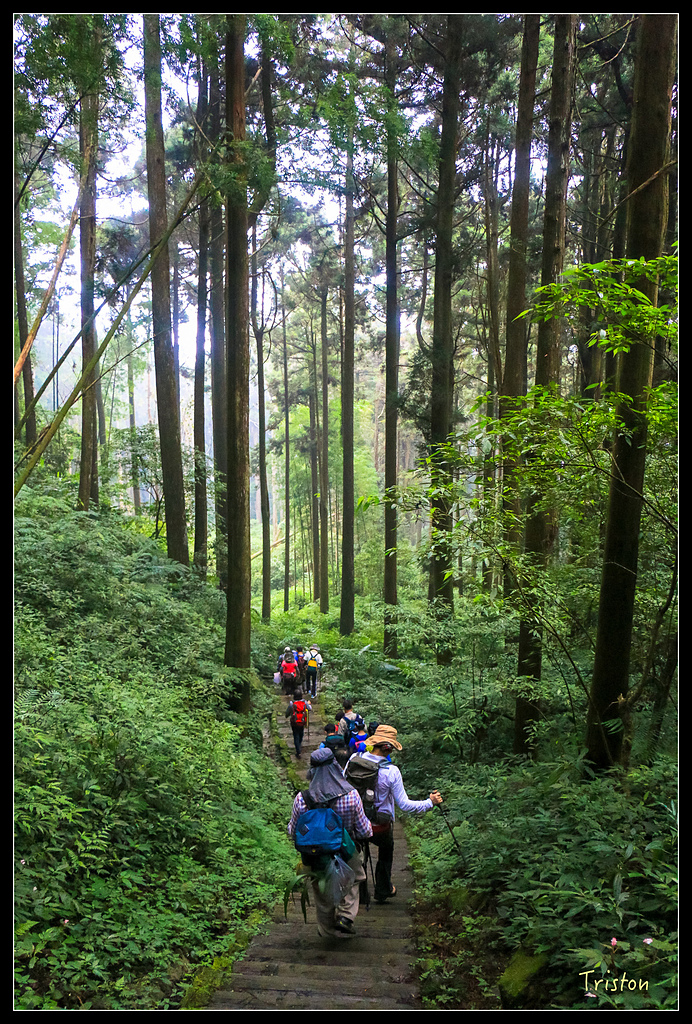 IMG_8371.jpg - 20150926 大凍山切霹靂山 抵龍雲山莊
