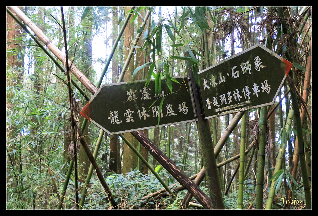 IMG_8344.jpg - 20150926 大凍山切霹靂山 抵龍雲山莊