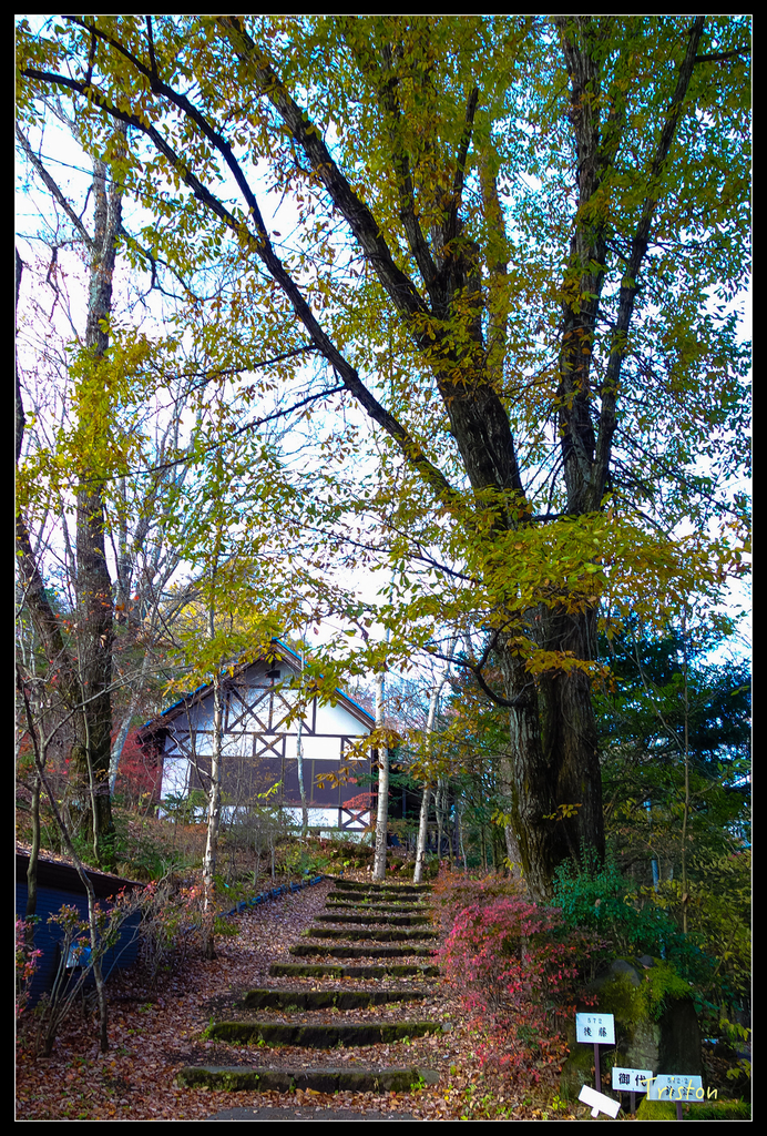 DSC00432.jpg - 20151031 秋天的童話-貴婦東京輕井澤紀行