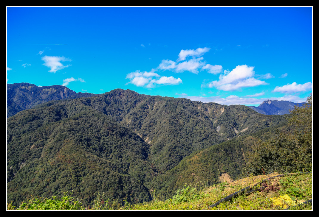 JH1A0600.jpg - 20151205 合歡溪步道、108K楓之谷