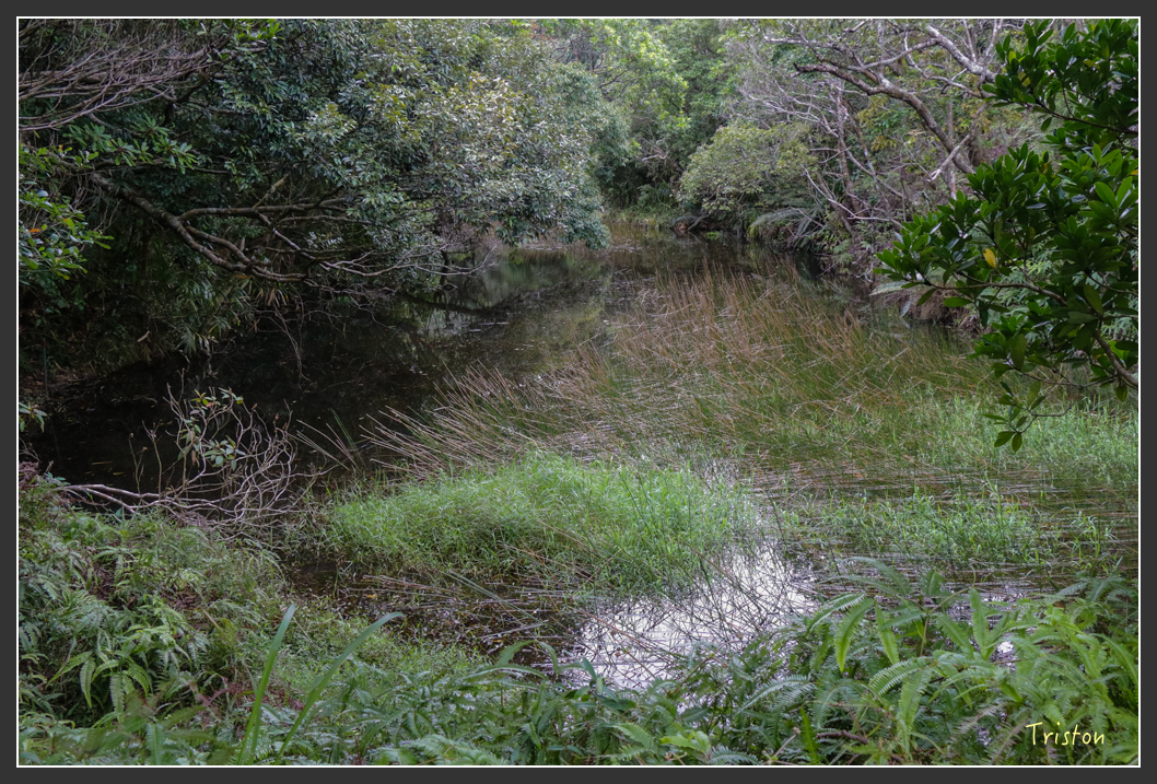 IMG_1428-2.jpg - 20160122 南仁湖、墾丁