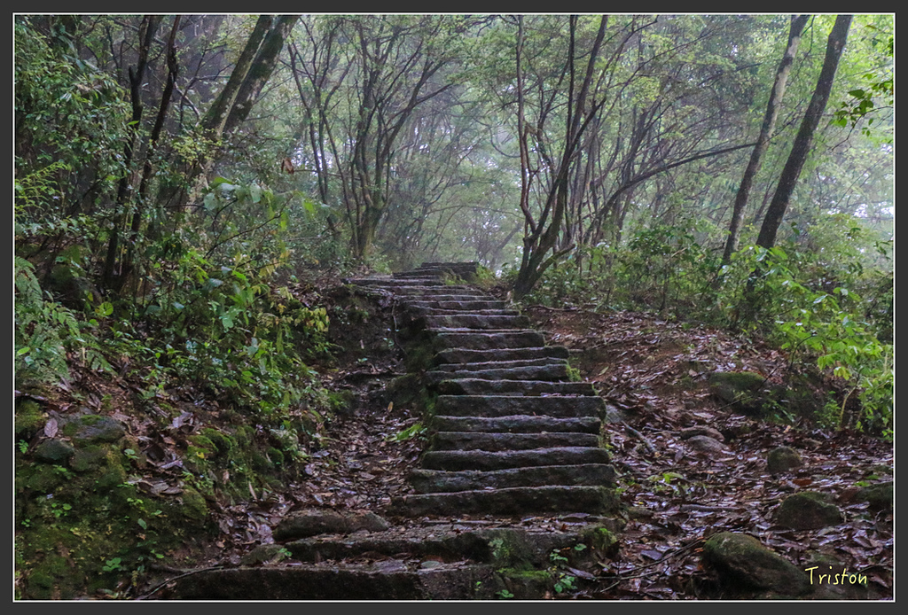 IMG_6417.jpg - 20160409 武夷山之旅