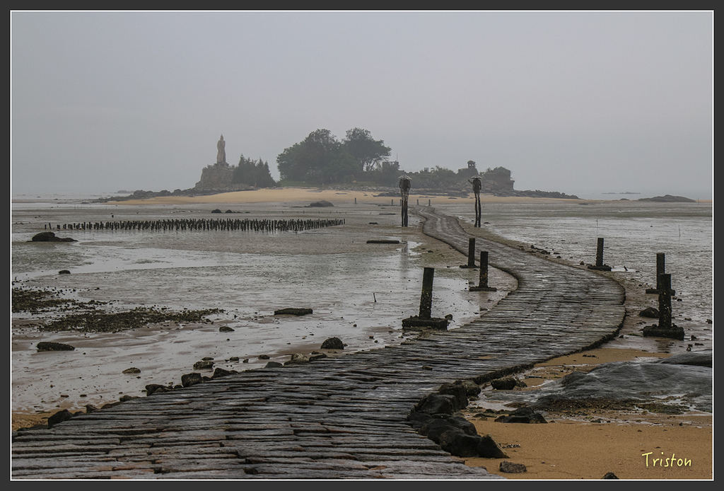 IMG_6928.jpg - 20160409 武夷山之旅