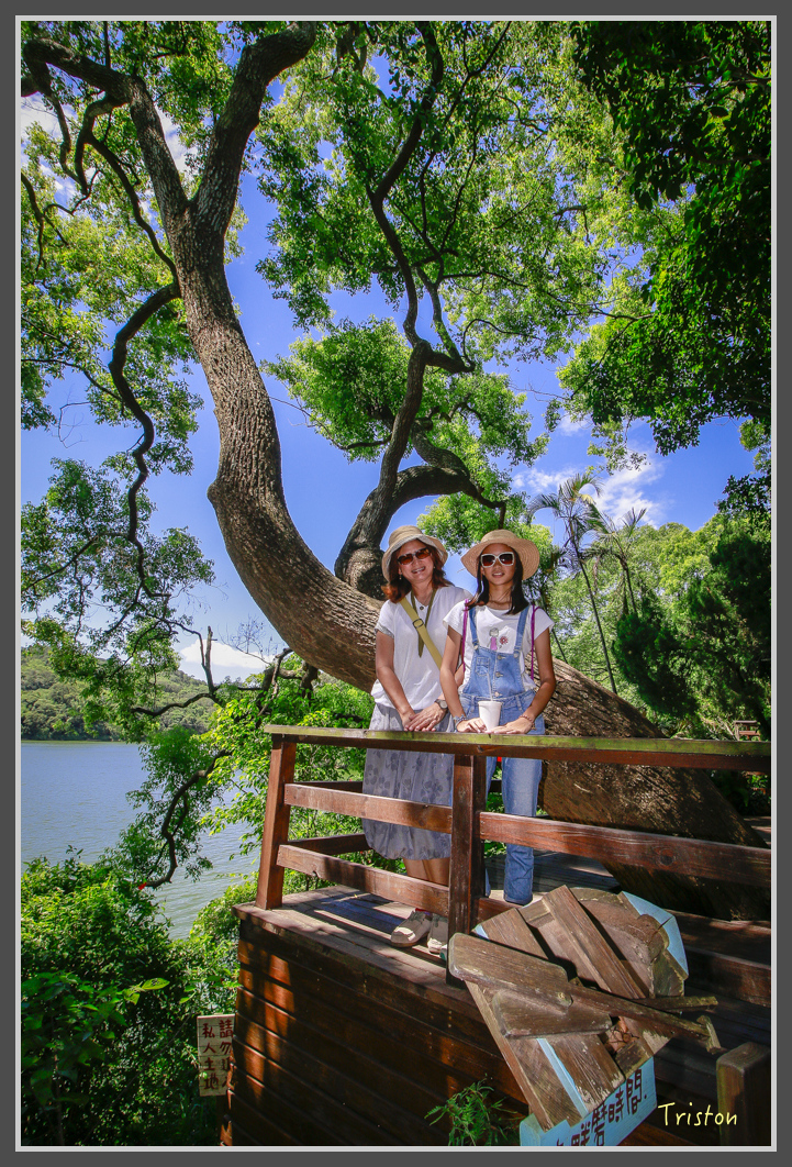 _MG_8874.jpg - 20160712 苗栗薰衣草森林