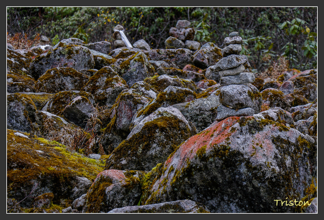 _MG_2687.jpg - 20161013 稻城亞丁