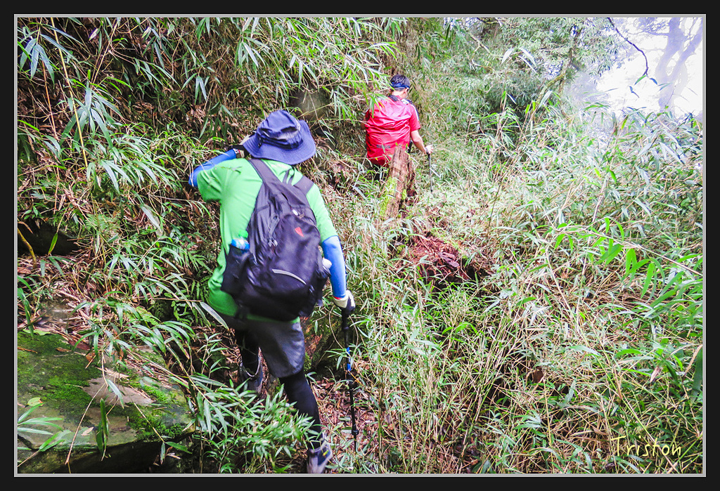 IMG_1406.jpg - 20170318 守關山、守城大山