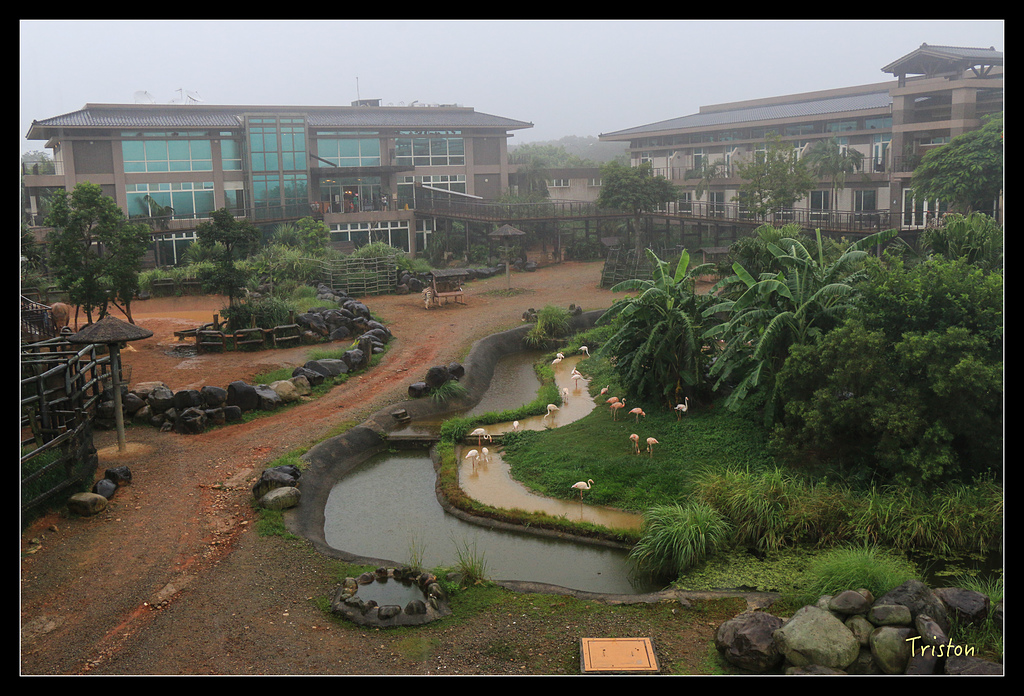 IMG_8106.jpg - 20150717 台北兒童新樂園 六福村