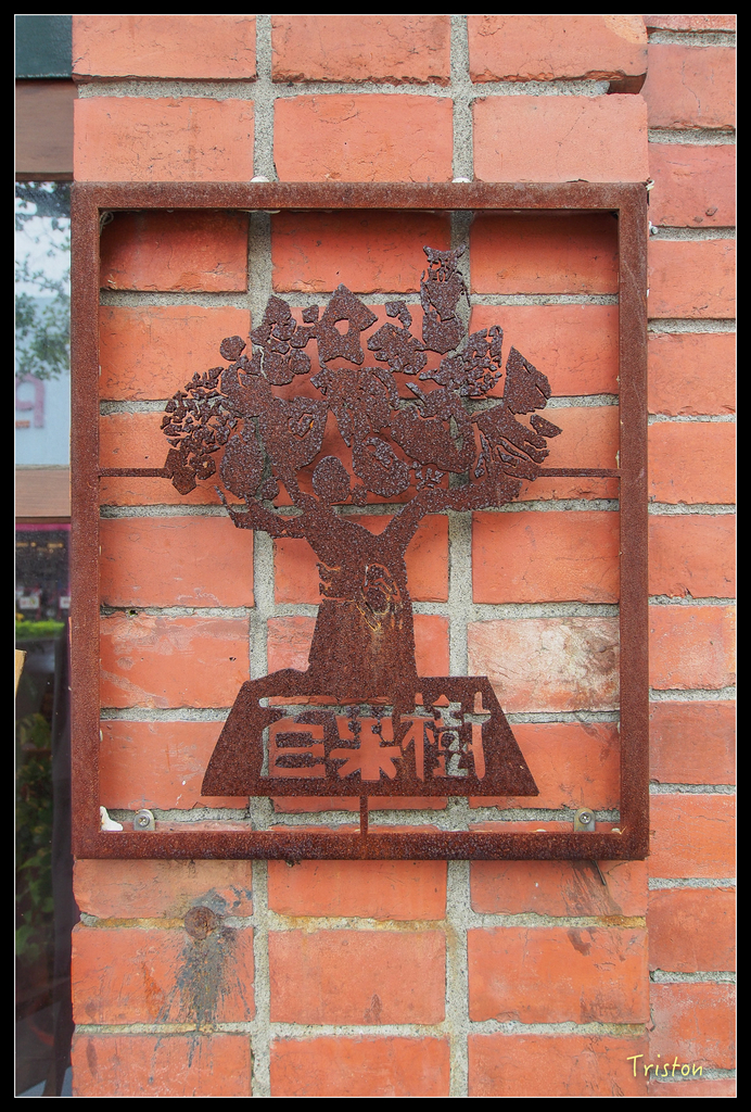 PA240041.jpg - 20151024~25 幾米公園、翠峰湖、翠峰山屋、望洋山步道、山毛櫸步道