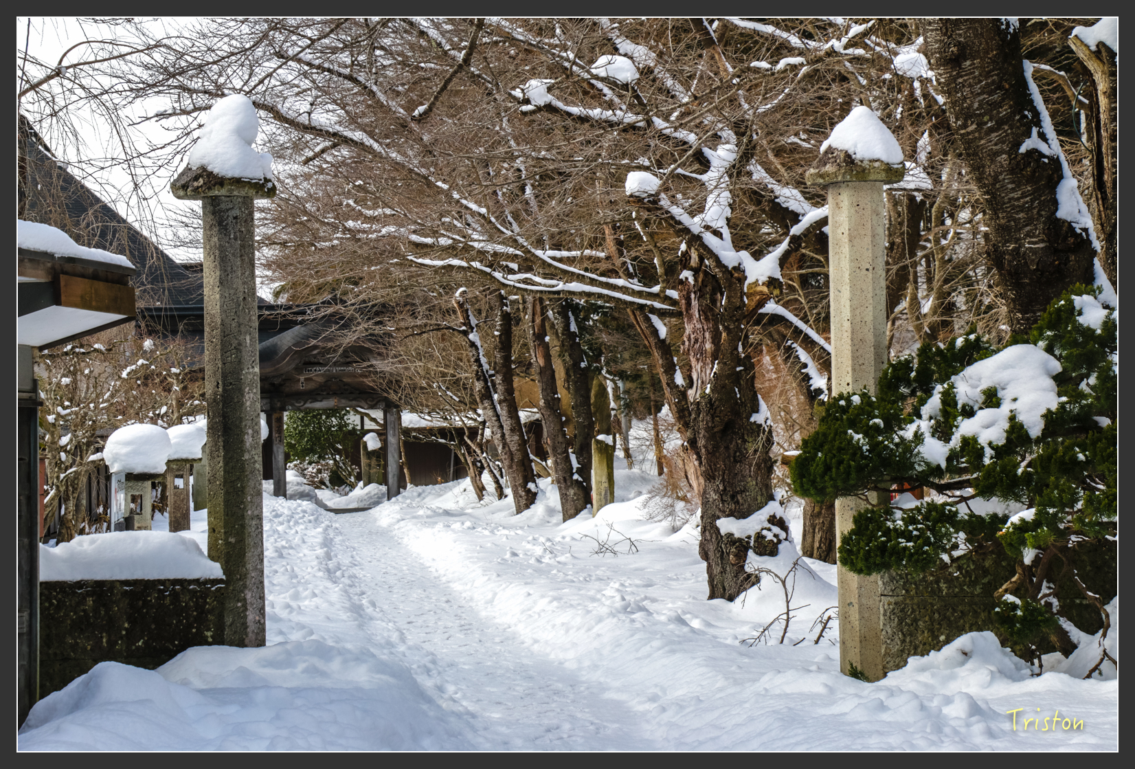 2016ZAO-00728.jpg - 20160131 日本藏王溫泉滑雪親子行