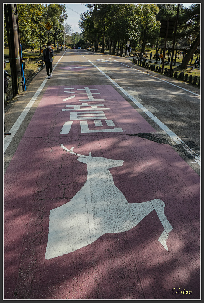 IMG_4014.jpg - 20160323 日本熊野古道健行