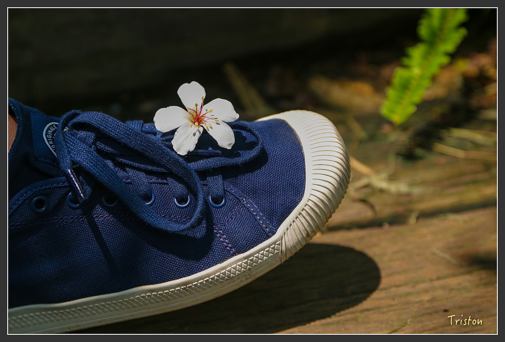 JH1A8817.jpg - 20160426 銅鑼天空步道、天空之城、荷苞山