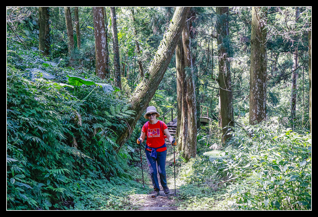 _MG_0094.jpg - 20170408 瑞太古道