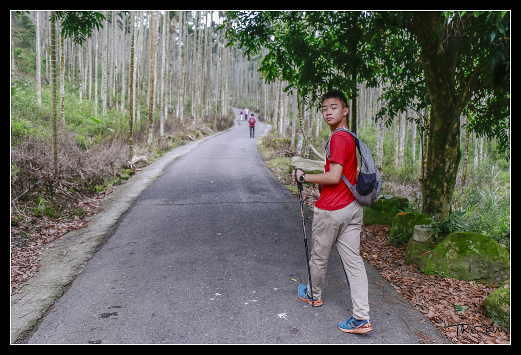 _MG_0002.jpg - 20170529 關仔嶺大凍山