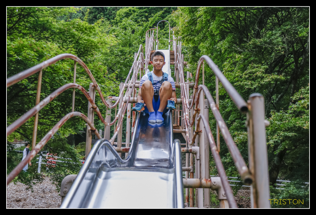 _MG_0880.jpg - 20170702 靜岡東海道之旅