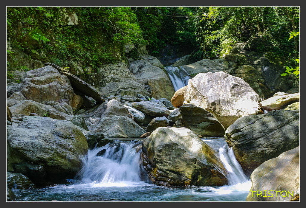 _H1A6107.jpg - 20170901 戀戀台九線