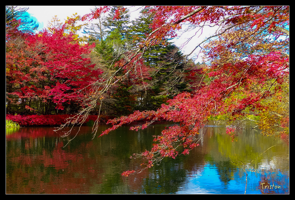 DSC00351.jpg - 20151031 秋天的童話-貴婦東京輕井澤紀行