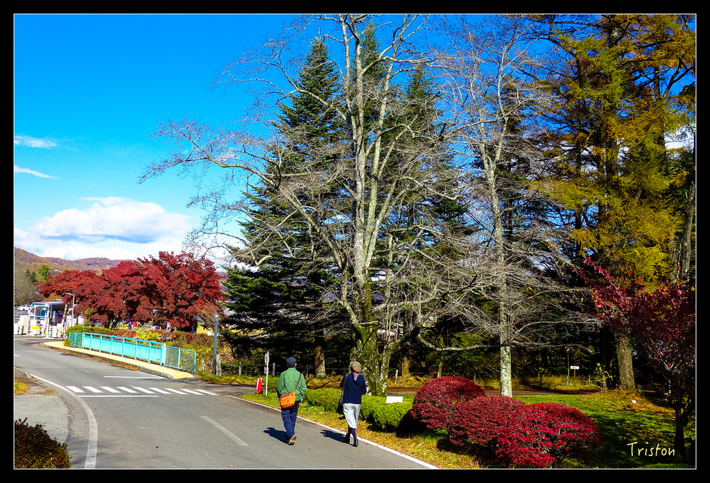 DSC00279.jpg - 20151031 秋天的童話-貴婦東京輕井澤紀行