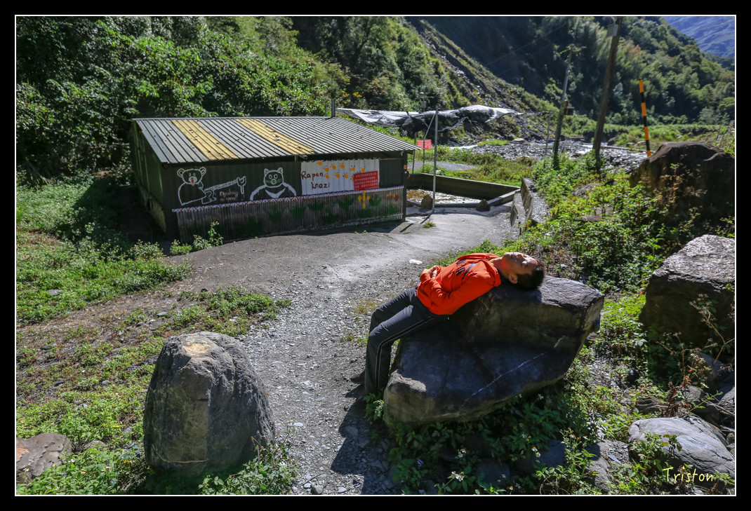 JH1A0547.jpg - 20151205 合歡溪步道、108K楓之谷