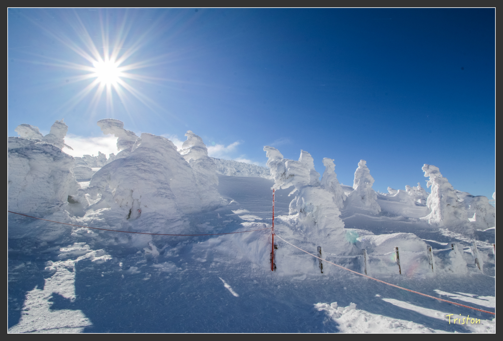 2016ZAO-01677.jpg - 20160131 日本藏王溫泉滑雪親子行