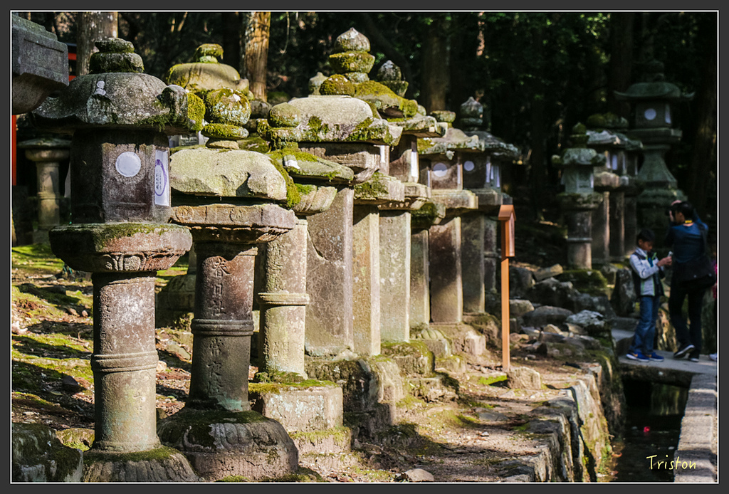 IMG_4023.jpg - 20160323 日本熊野古道健行