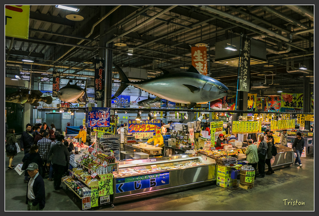 IMG_5956.jpg - 20160323 日本熊野古道健行