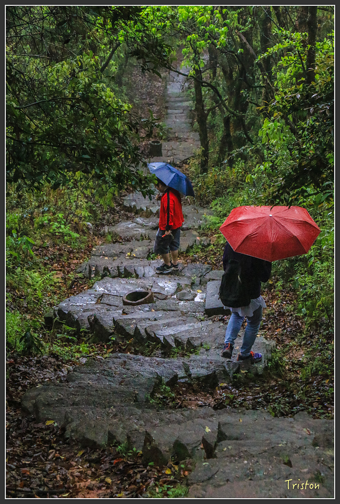 IMG_6430.jpg - 20160409 武夷山之旅