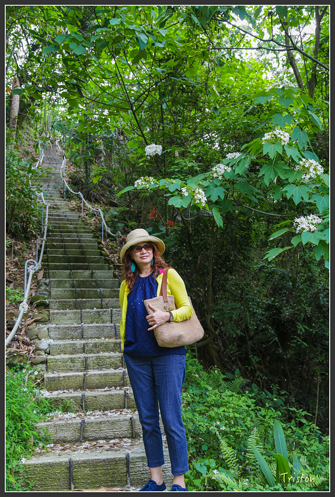 JH1A8824.jpg - 20160426 銅鑼天空步道、天空之城、荷苞山