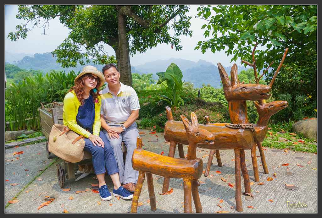 JH1A8815.jpg - 20160426 銅鑼天空步道、天空之城、荷苞山