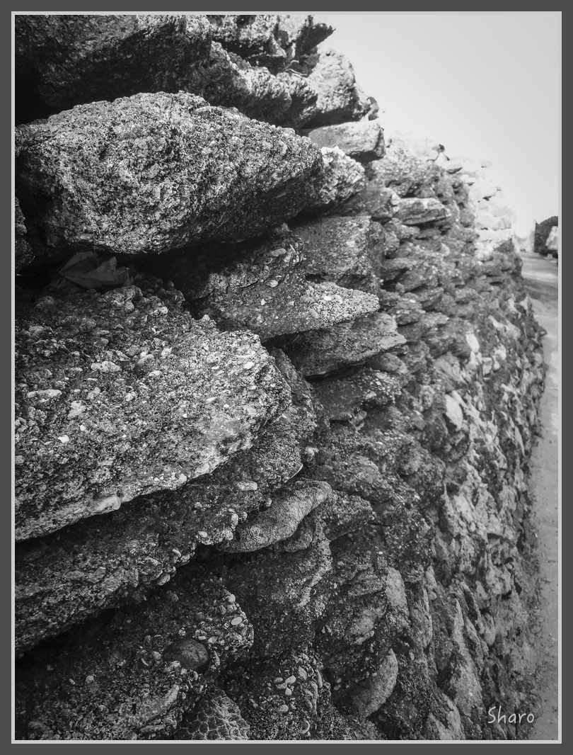 IMG_7667.jpg - 20160701 澎湖