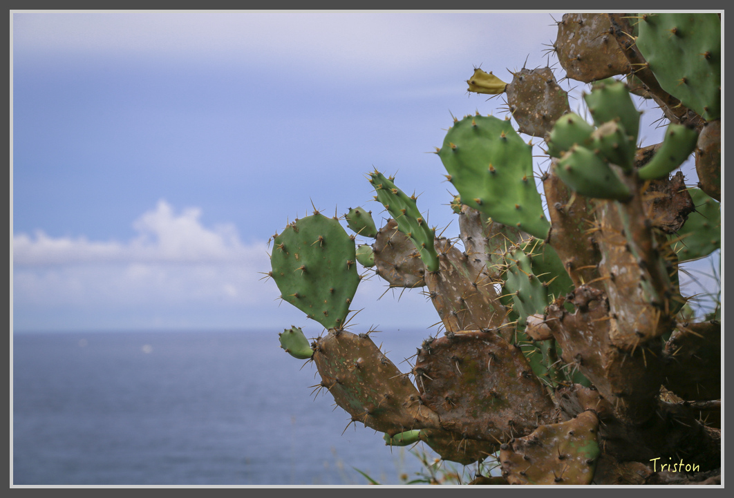 JH1A1138.jpg - 20160701 澎湖