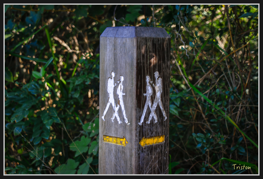 00166.jpg - 20170107 香港健行