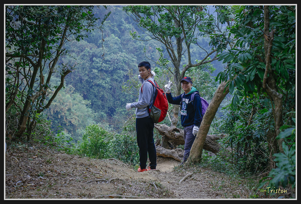 _MG_0633.jpg - 20170114 旗尾山