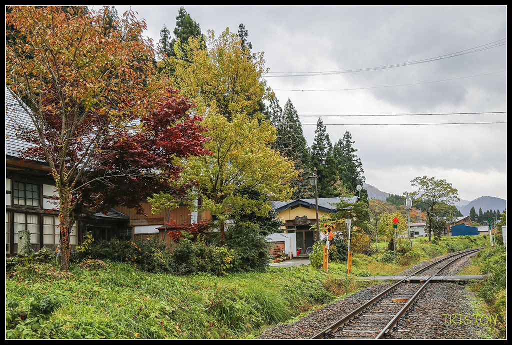 _H1A0748.jpg - 20171103 日本只見線、會津若松五色沼、昭和記念公園賞紅葉