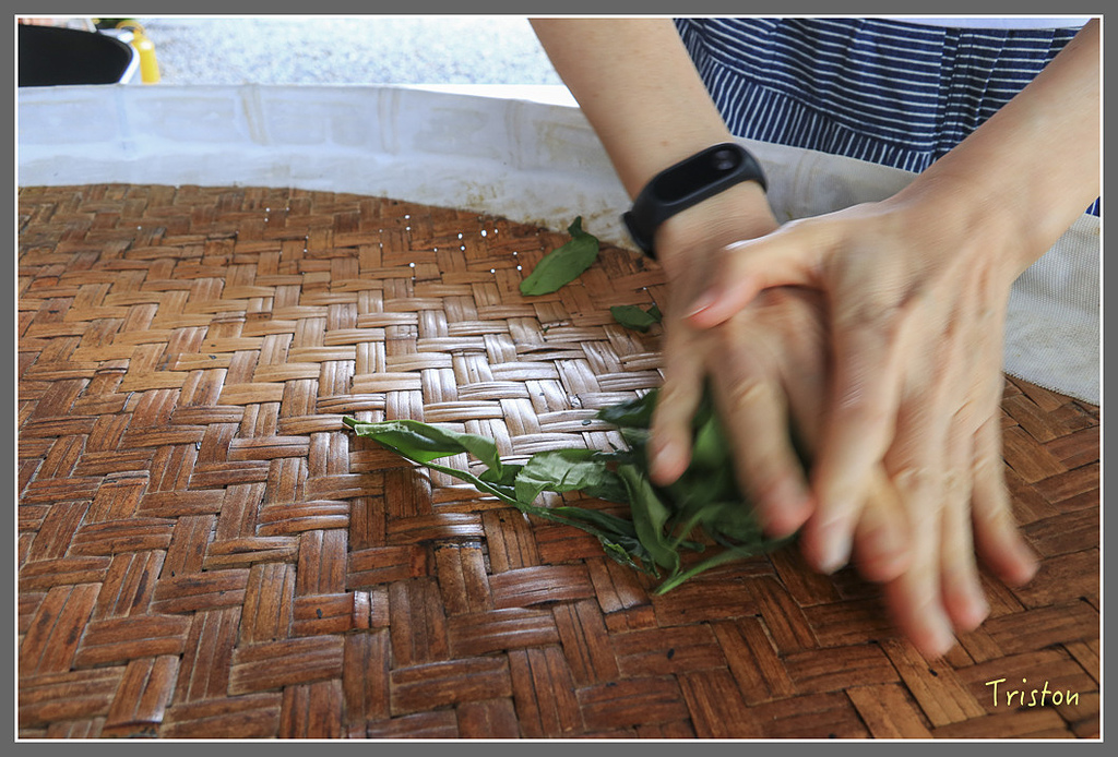 IMG_2216.jpg - 20180802 樂野山芙蓉揉茶,阿將咖啡的家