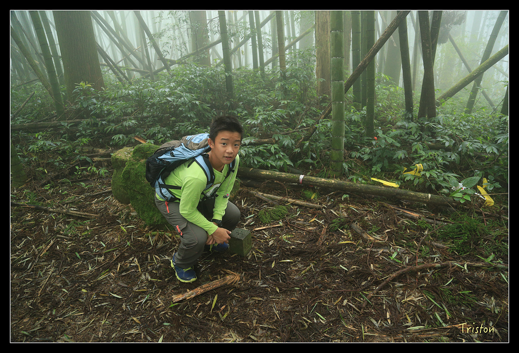 JH1A9768.jpg - 20150920 石棹,霧之道 茶之道 雲之道