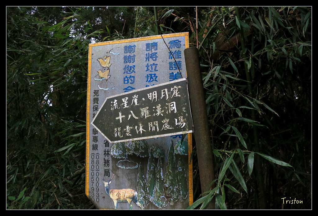 IMG_8349.jpg - 20150926 大凍山切霹靂山 抵龍雲山莊